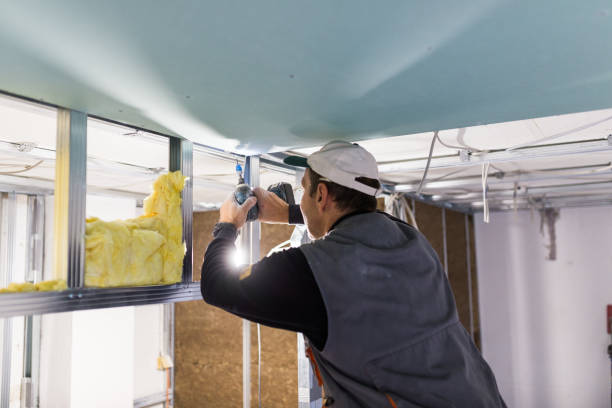Best Eco-Friendly Insulation in Williston Park, NY