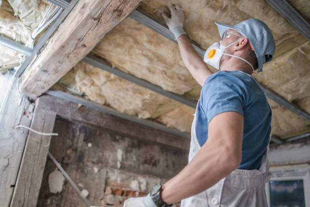 Best Residential Insulation in Williston Park, NY
