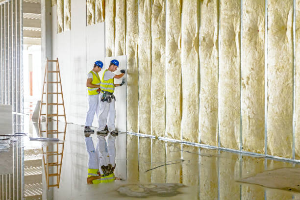 Best Insulation for Specific Applications in Williston Park, NY